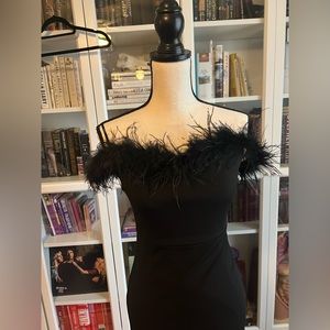 Black Feather Dress